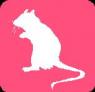 pink-mouse7