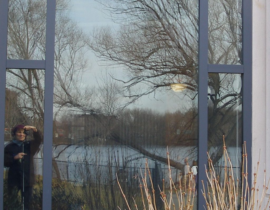 amh FreshPond07