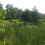 2013-06-23_08-03-55_337