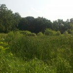2013-06-23_08-04-12_468