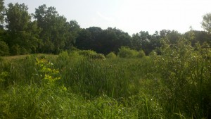 2013-06-23_08-04-12_468