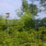 2013-06-23_08-50-36_5