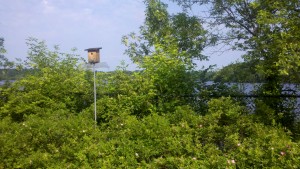 2013-06-23_08-50-36_5