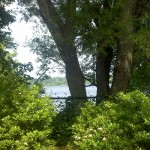 2013-06-23_08-50-54_92