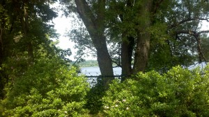 2013-06-23_08-50-54_92
