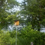 2013-06-23_08-53-36_273
