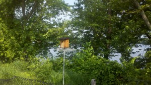 2013-06-23_08-53-36_273