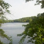 2013-06-23_08-53-52_873