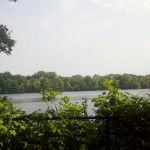 2013-06-23_08-54-21_282