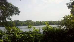 2013-06-23_08-54-21_282