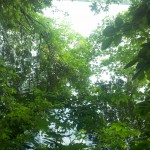 2013-06-23_08-55-38_33