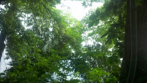 2013-06-23_08-55-38_33