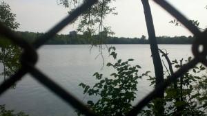2013-06-23_08-56-50_305