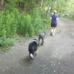 2013-06-23_08-58-27_942