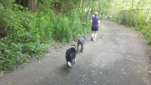 2013-06-23_08-58-27_942