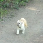 2013-06-23_08-59-05_594