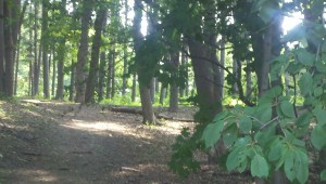 2013-06-23_08-59-44_770