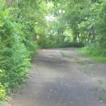 2013-06-23_09-01-16_226