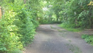2013-06-23_09-01-16_226