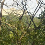 2013-06-23_09-03-26_591