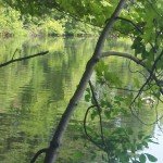 2013-06-23_09-08-32_634