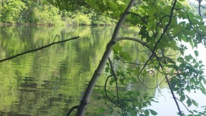 2013-06-23_09-08-32_634