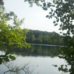 2013-06-23_09-10-39_610