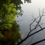 2013-06-23_09-13-06_677