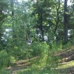 2013-06-23_09-19-50_722