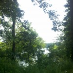 2013-06-23_09-20-31_505