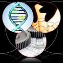Convergence Image 